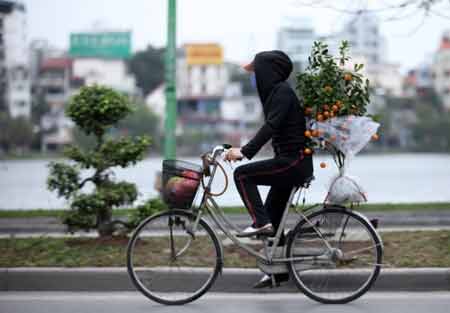 29 tết, người Hà Nội chịu rét đi mua sắm - 10