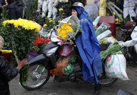 29 tết, người Hà Nội chịu rét đi mua sắm - 12