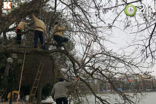 Tất bật không khí ngày tất niên - 3