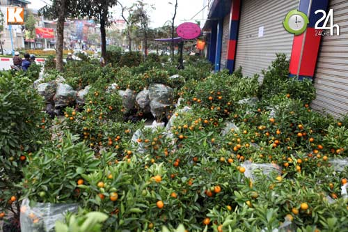 Tất bật không khí ngày tất niên - 11