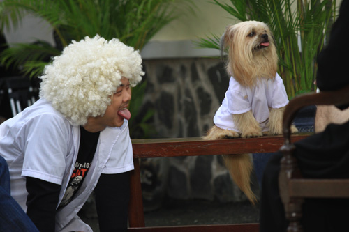 Hoài Linh – Chí Tài tái ngộ khán giả - 4