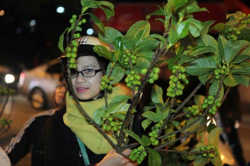 Đêm giao thừa, hồi hộp từng giây - 8