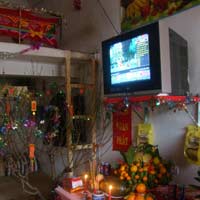 Pháp luật - Chuyện nhặt ở "buồng hạnh phúc"