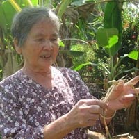 Tin tức trong ngày - "Hắc tinh" miền Tây trị rắn độc cắn