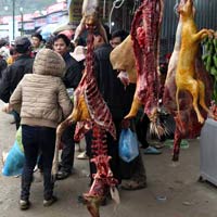 Tin tức trong ngày - Chùa Hương: Vẫn treo la liệt "thú rừng"