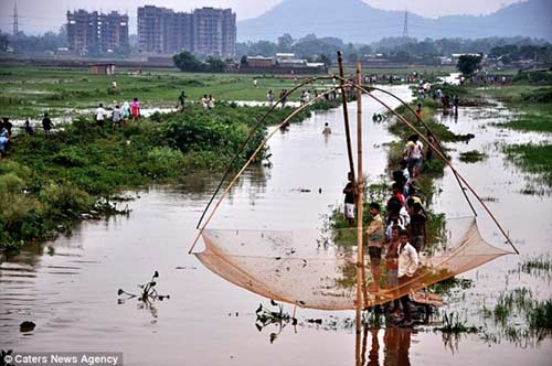 Những vụ náo loạn vì tiền rơi vãi - 6