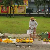 Thị trường - Tiêu dùng - Nông nghiệp nhìn từ vỉa hè Tết