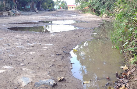 Bao giờ hết "bụi trắng đầu, bùn dính gối"? - 2