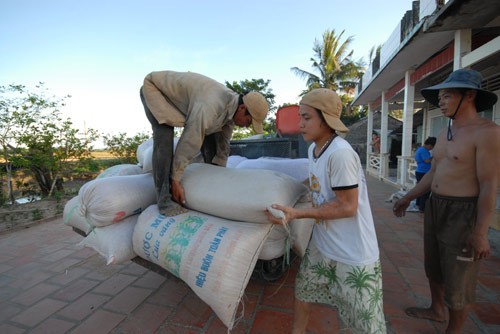 Ngắm mùa vàng bội thu ở miền Tây - 6