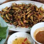 Ẩm thực - Nhộng ve - Món lạ đất Côn Sơn