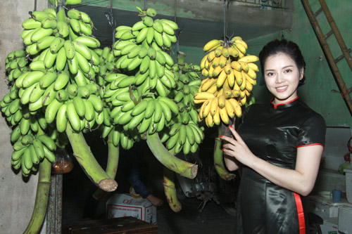 Lý Nhã Kỳ "bán" bánh cuốn - 9