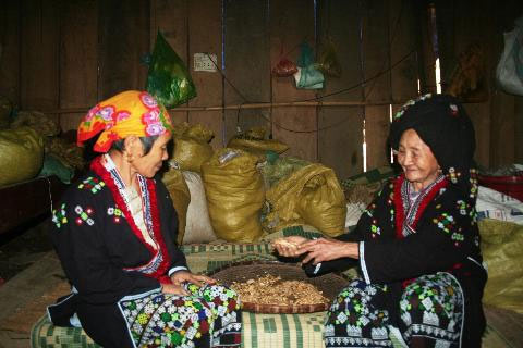 "Vua biệt dược" phòng the ở xứ Thanh - 2