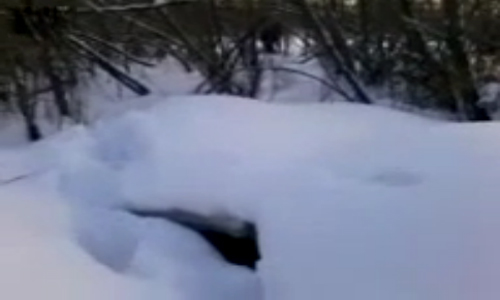Quay được hình ảnh Người tuyết ở Nga - 1