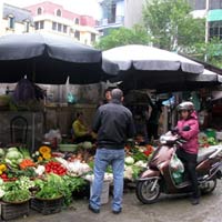 Thị trường - Tiêu dùng - Hà Nội: Giá rau giảm mạnh vẫn ế