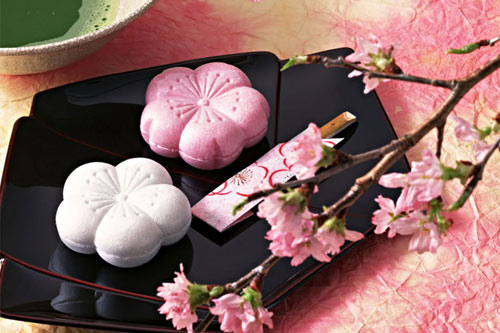 Bánh wagashi - Ẩm thực tuyệt đỉnh Nhật - 3