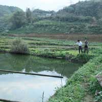 Tin tức trong ngày - Hai chị em ruột bị đuối nước thương tâm