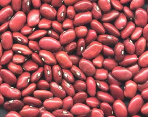 Công dụng bất ngờ từ các loại đậu - 2