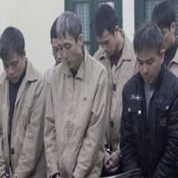 Pháp luật - Những án mạng đau lòng chỉ vì... chó