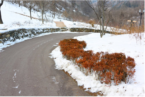 Lóa mắt vì phim của Song Hye Kyo - 9