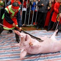 Phi thường - kỳ quặc - Những lễ hội "dựng tóc gáy" chỉ có ở Việt Nam