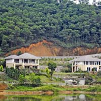 Tài chính - Bất động sản - Hô biến đất rừng thành thổ cư