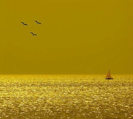 Bí ẩn truyền thuyết 'thành phố vàng' El Dorado - 4