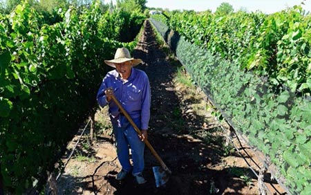 10 lý do bạn nên du lịch vào tháng 3 - 7