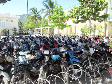 Đằng sau CLB chọi gà truyền thống - 2