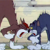 Cười 24h - Video funny TOM &amp; JERRY: Mèo Tom gặp đối
