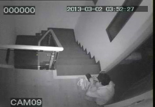 Camera ghi lại cảnh trộm đột nhập nhà giám đốc - 2