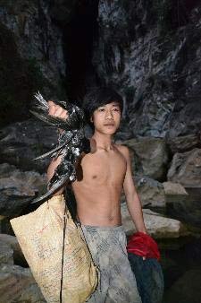 Rợn người công nghệ săn én - 4