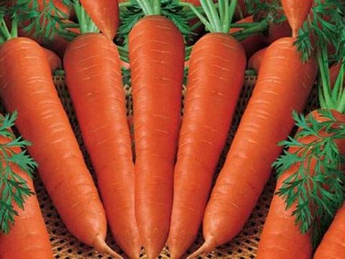 Cà rốt có thực sự giúp giảm cân? - 1