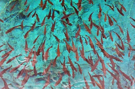 Ngắm 12 biển hồ trong nhất hành tinh - 13