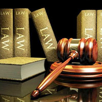 Pháp luật - Câu chuyện buồn của một luật sư lầm lạc