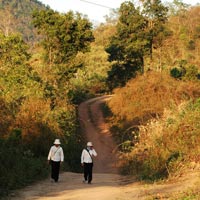 Tin tức trong ngày - Đem cả sổ đỏ vườn quốc gia đi... cầm cố