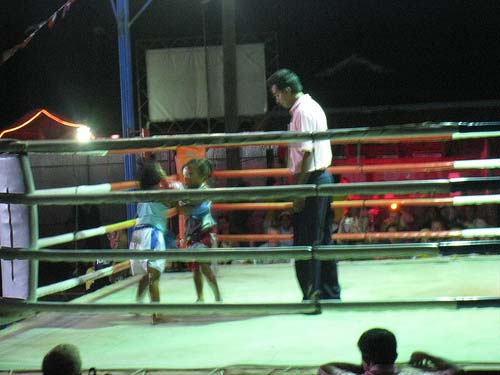 Muay Thai: Quả đấm và những giấc mơ đổi đời (P2) - 1
