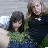 Nhạc chế: Một năm thi thố buồn - 7