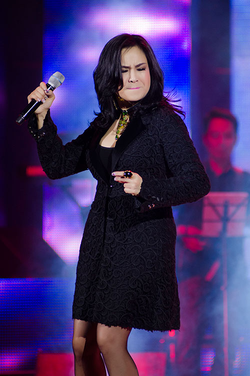 Hồng Nhung-Quang Dũng "hạ gục" khán giả - 3