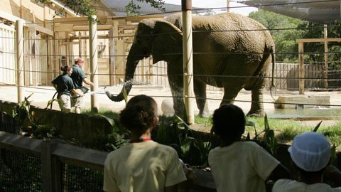 Quần lót, biểu hiện của tăng trưởng kinh tế - 6