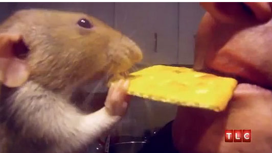 Bỏ chồng vì quá mê động vật - 2