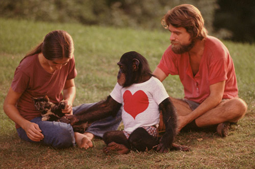 Trailer phim: Project Nim - 2