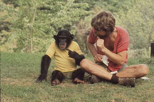 Trailer phim: Project Nim - 4