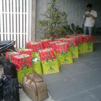 Pháp luật - Phá đường dây in, bán sách lậu