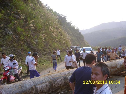 Cây hơn 5 tấn rơi từ… trên trời xuống - 3