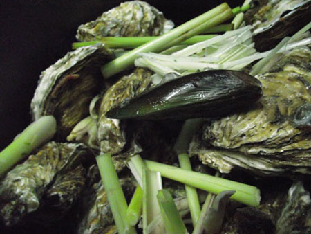 Hàu ngon khi hè về - 2