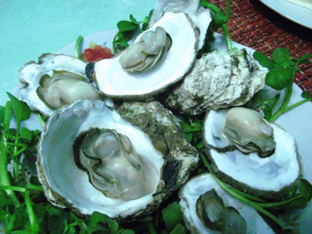 Hàu ngon khi hè về - 3