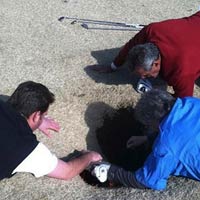 Tin tức trong ngày - Mỹ: Chơi golf bị "hố tử thần" nuốt chửng