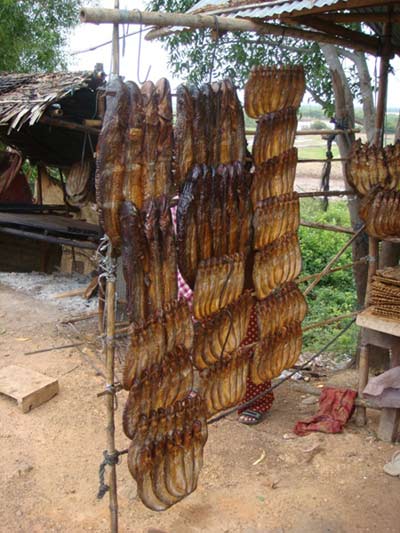 Thương nhớ sầu đâu - 2