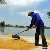 Tài chính - Bất động sản - Mỗi người Việt gánh 800 USD nợ công?