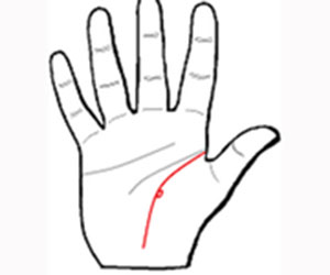 Xem chỉ tay khám phá cuộc sống - 4